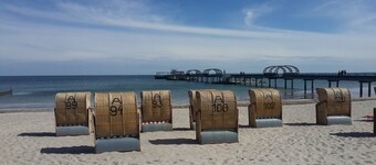 Relax right next to the forest & 750m to the beach