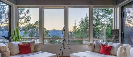 Smart-tv, eldstad, dvd-spelare och böcker