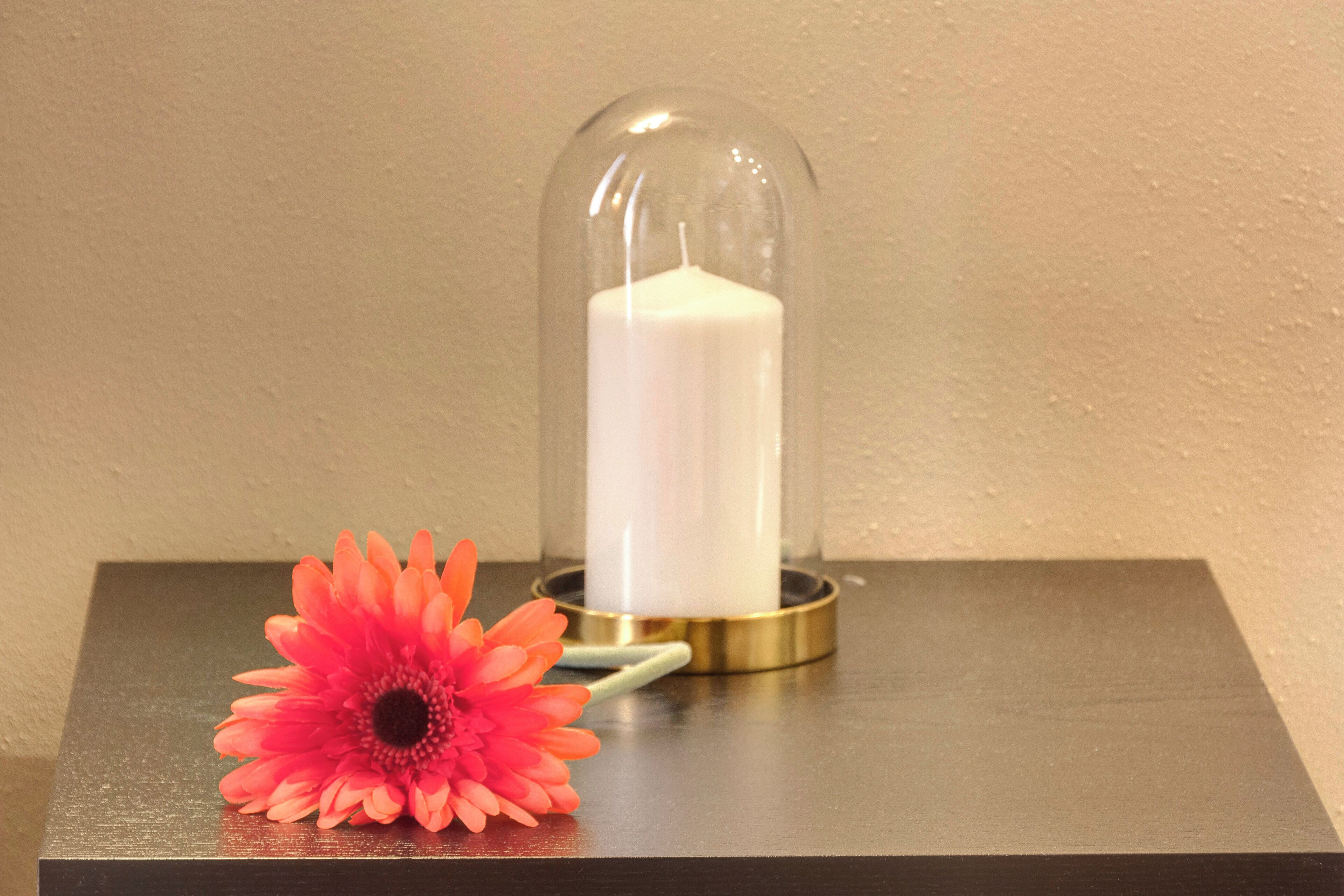 A candle in a glass dome on a wooden table with a single flower beside it.