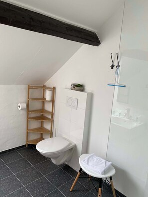 Shower, hair dryer, towels, shampoo - Cozy apartment (4p) prime location near Maastricht (Eijsden)