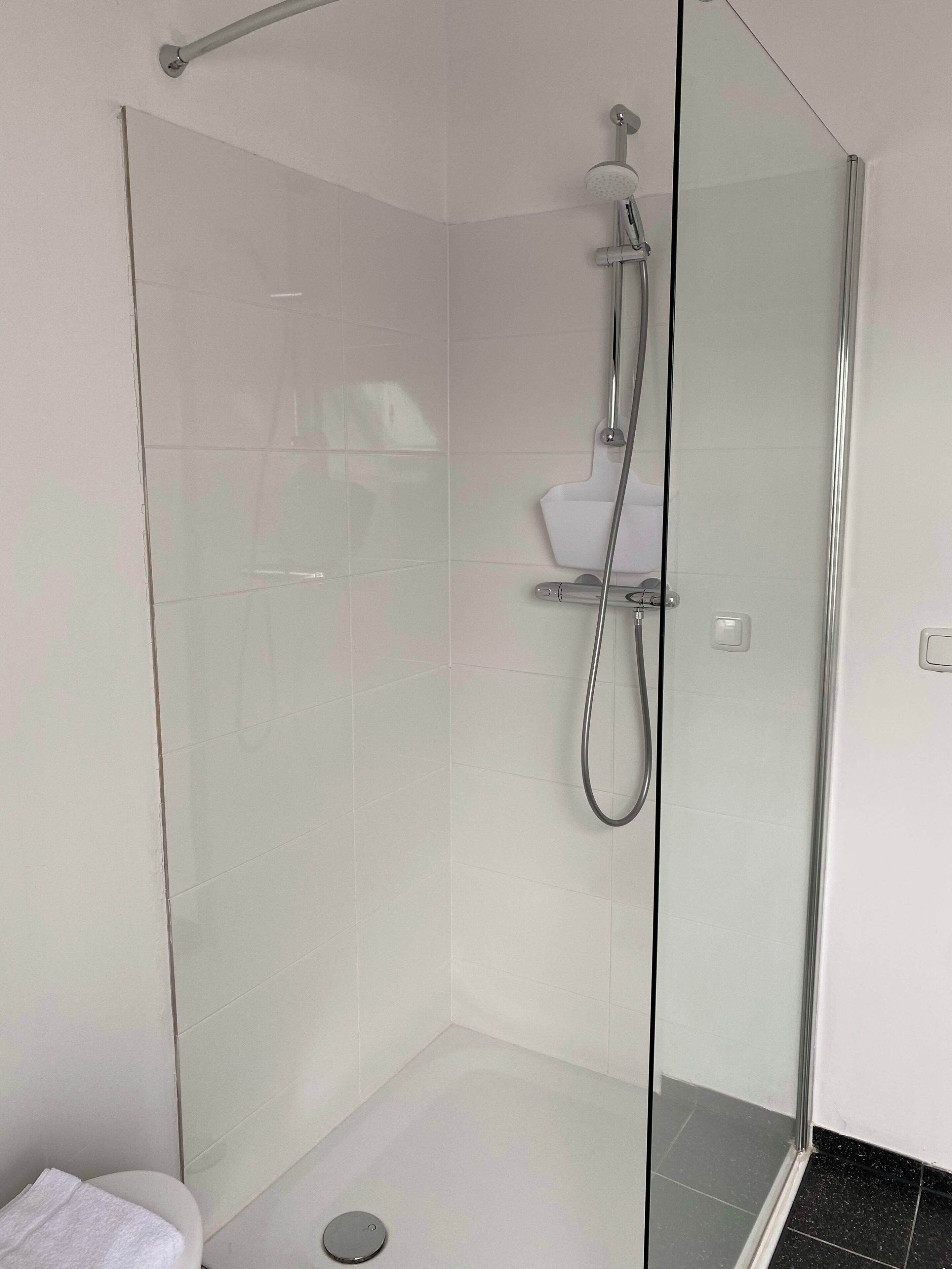 A modern bathroom with a glass shower enclosure, a white toilet, and a visible showerhead.