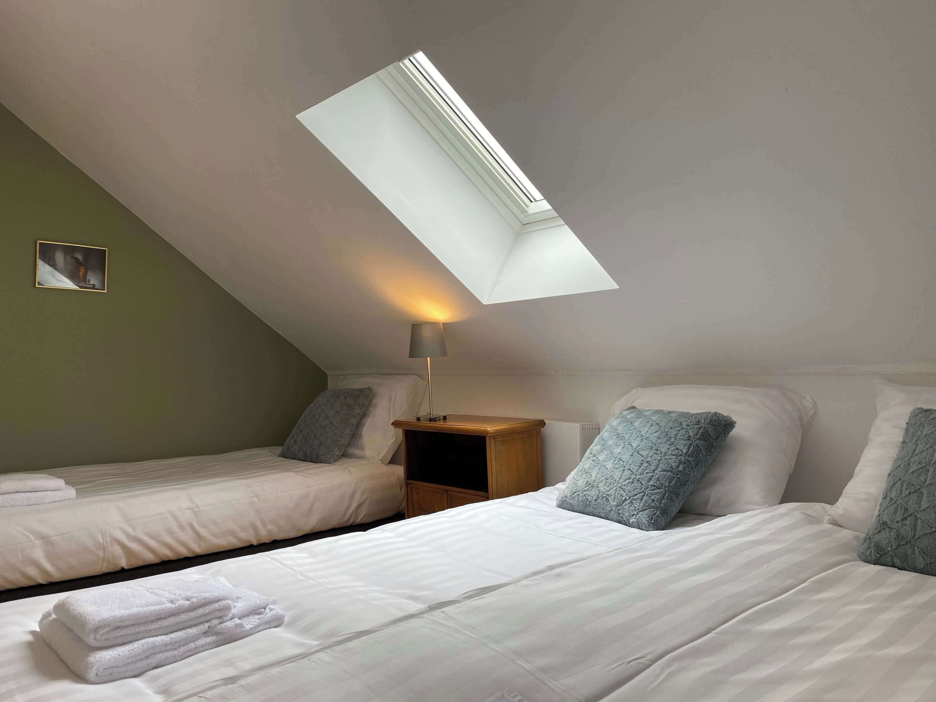 A room with two beds, a skylight, a bedside table with a lamp, and a painting on the wall.