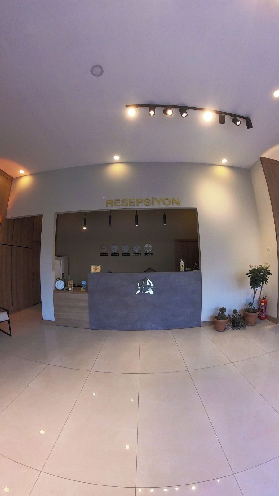 A reception area with a modern design, featuring a reception desk, a clock, and potted plants.