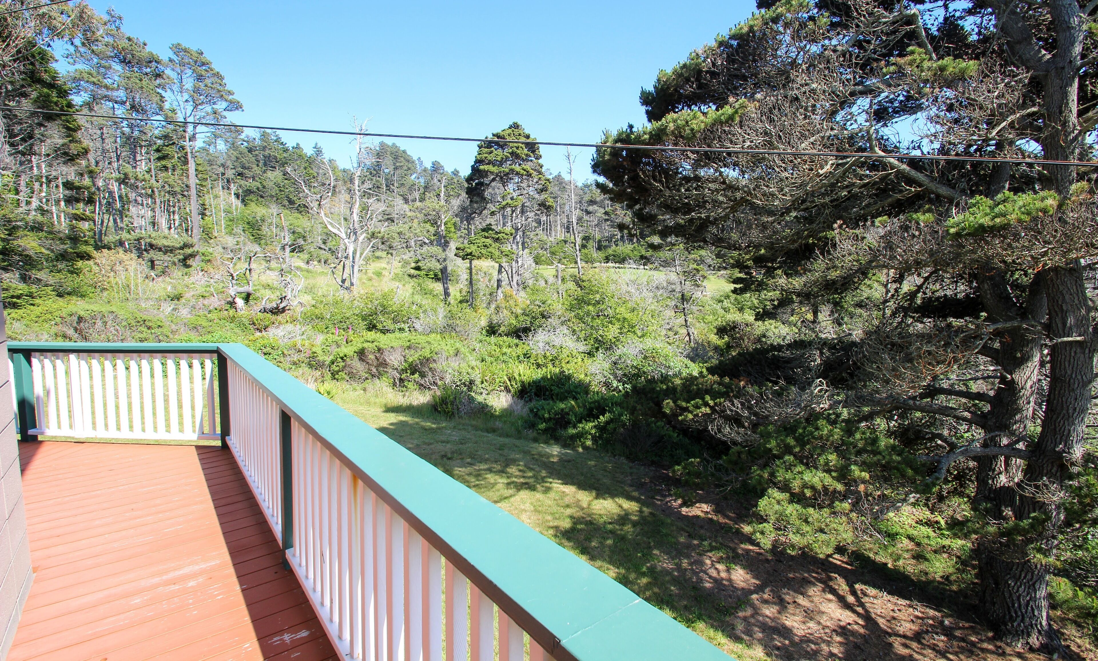 Une terrasse en bois avec une rambarde verte donnant sur une zone boisée.