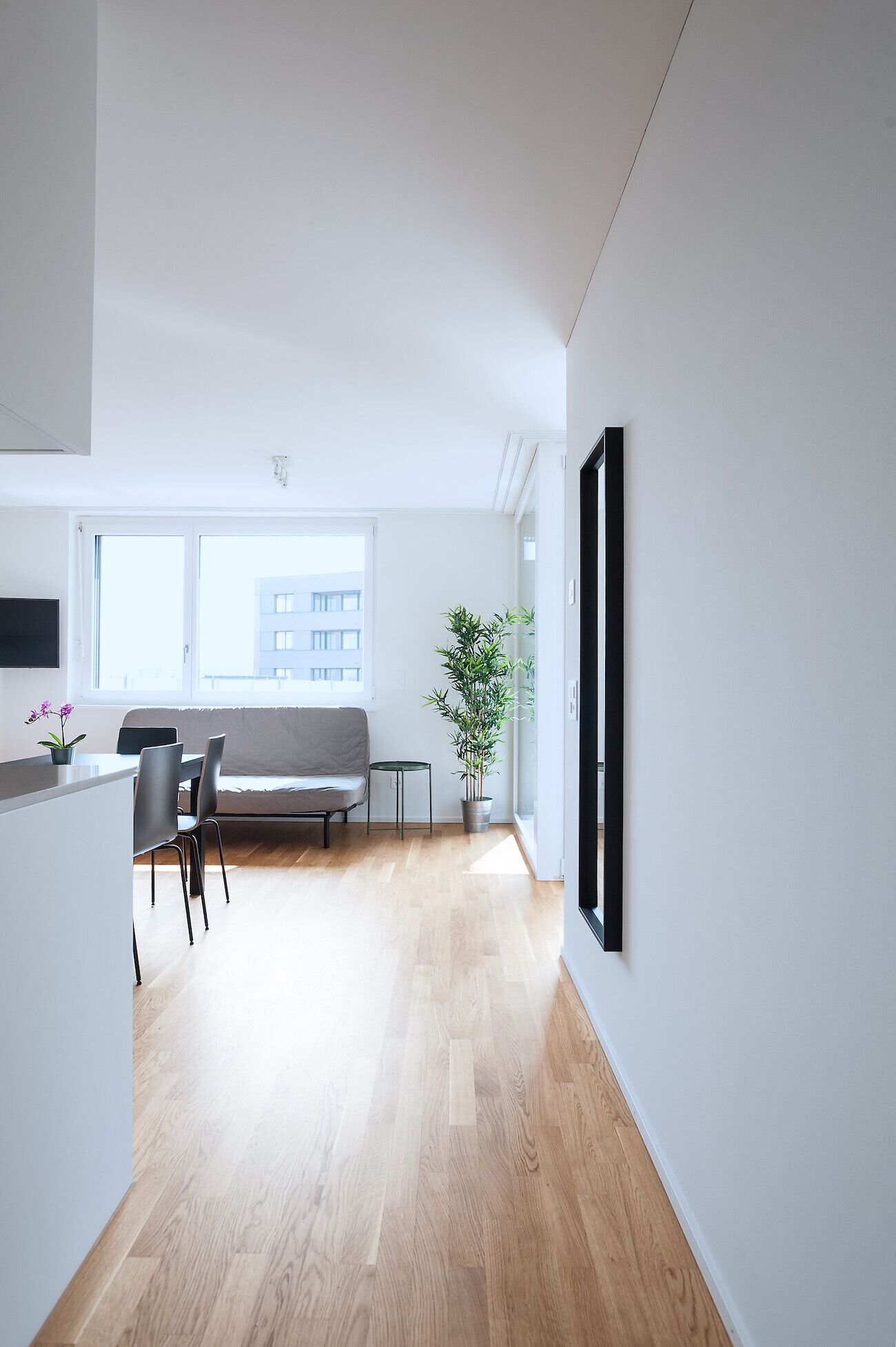 A modern living room with a sofa, dining table, chairs, and a potted plant.