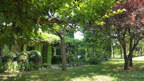 Explore a serene garden setting with a tranquil atmosphere and a charming, partially hidden structure.