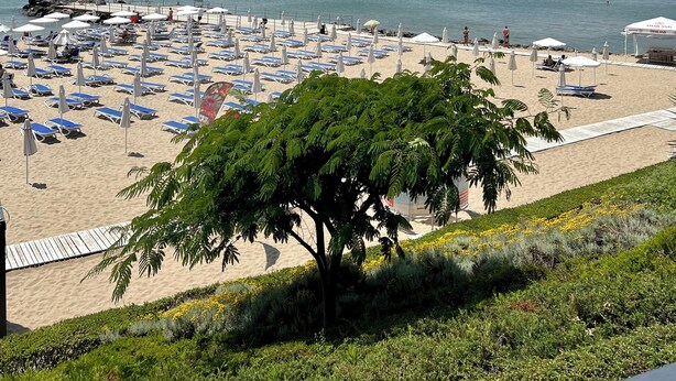 Playa