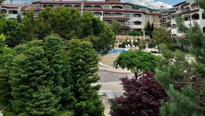 Vista al jardín