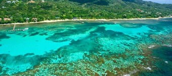 Sunnyside Bungalow 1 · Best snorkeling/diving on island 70yds off dock