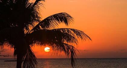 Dream Beach Home! Snorkel reef off 400' dock!