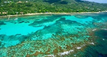 Dream Beach Home! Snorkel reef off 400' dock!