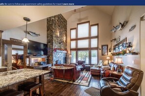 TV connectée, cheminée, lecteur de DVD, livres