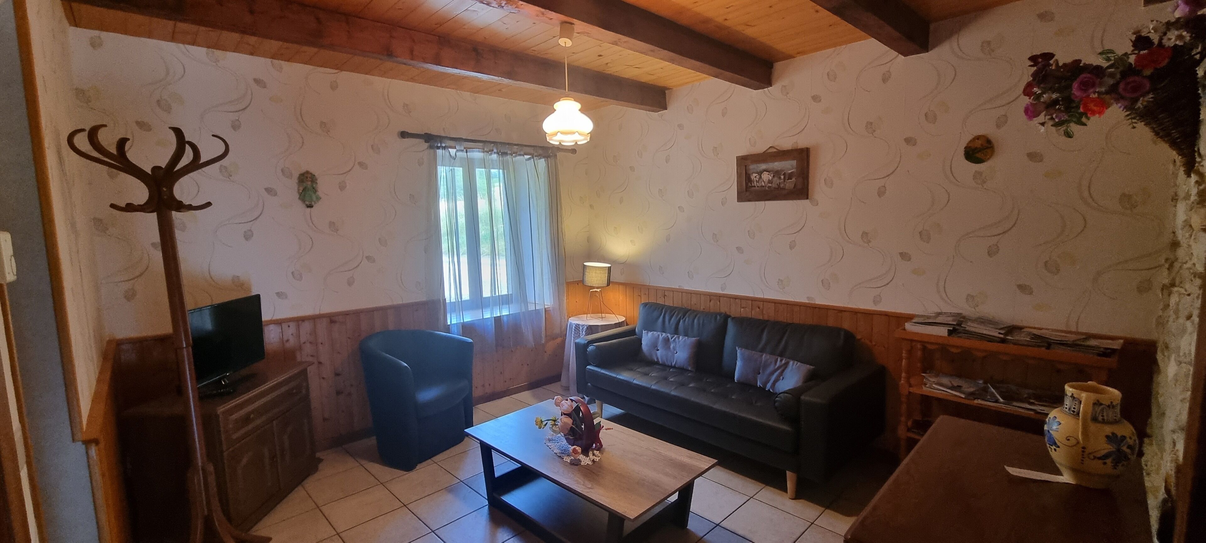 Televisión y libros 