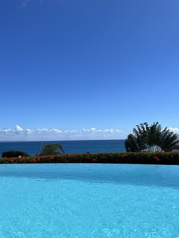 Outdoor pool - Dream villa with jacuzzi near the beach***** (Saint-Anne)