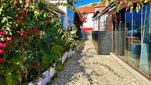 A narrow cobblestone street flanked by buildings with balconies and flower boxes. - ALVOR-ALGARVE SEASIDE  (Alvor)