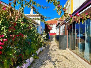 Stroll through a charming cobblestone alley lined with lush greenery and vibrant flowers.