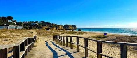 Serviettes de plage