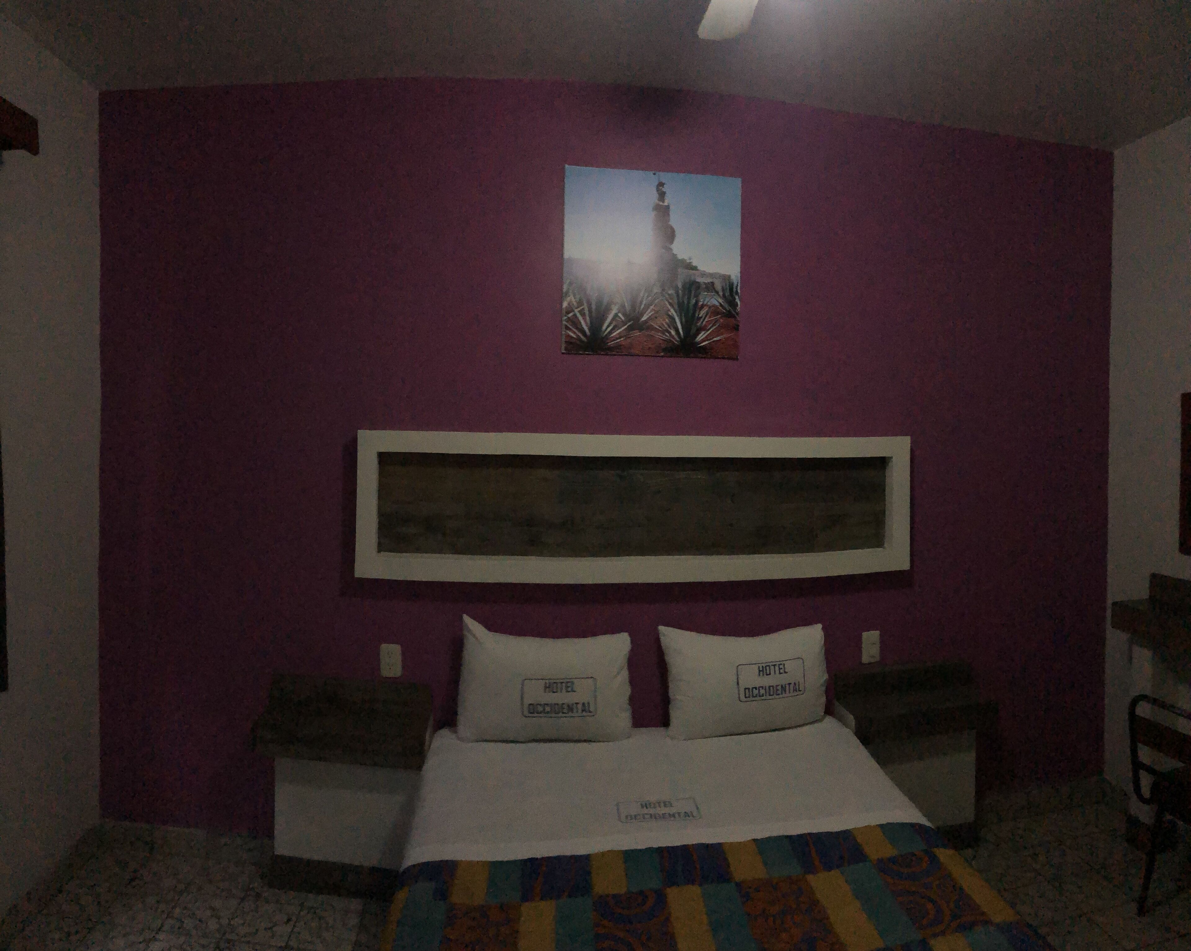 Foto - Hotel Occidental