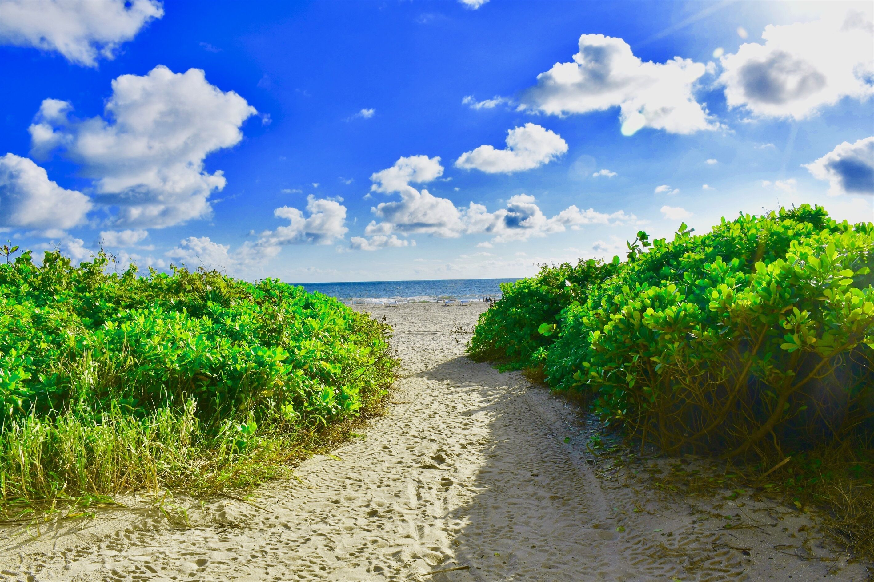 A sandy beach path with dense green vegetation on both sides, leading to the ocean under a clear blue sky with scattered clouds.