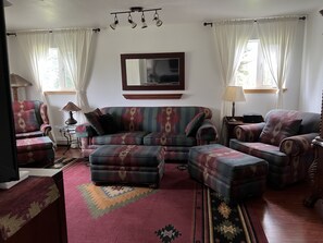 Smart TV, fireplace, books, offices - Great views from A Second Home in Denali, vacation rental, close to the Park!
 (Healy)