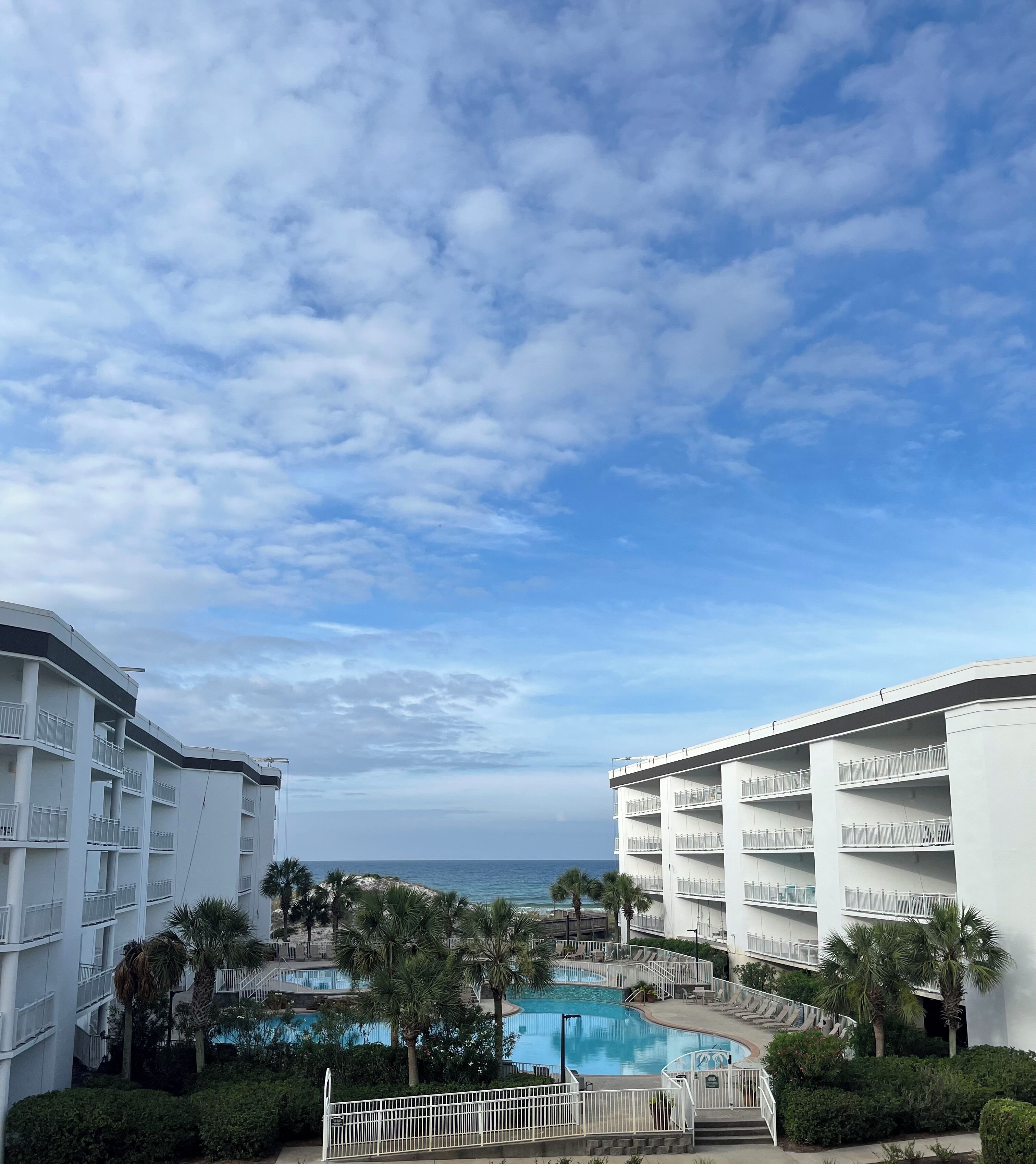 Un hôtel doté d’une piscine, de palmiers et offrant une vue sur l’océan.