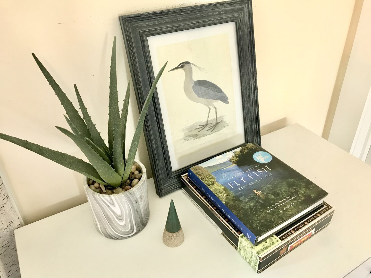 A framed bird illustration, a potted aloe plant, a book titled 'Fifty Places to Fly Fish Before You Die', and a small conical object on a white surface.