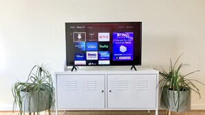 A TCL Roku TV on a white cabinet with two potted plants on either side. - Greensview Apartment | 2 Bedroom, 2 Bath - Beautiful views! (Charlottesville)
