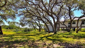 Une maison avec un grand arbre dans la cour, une véranda et une pelouse.