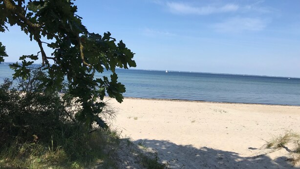 En strand med sand og sparsom vegetation, en klar himmel og et roligt hav i baggrunden.