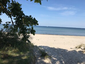 En strand med sand og sparsom vegetation, en klar himmel og et roligt hav i baggrunden.