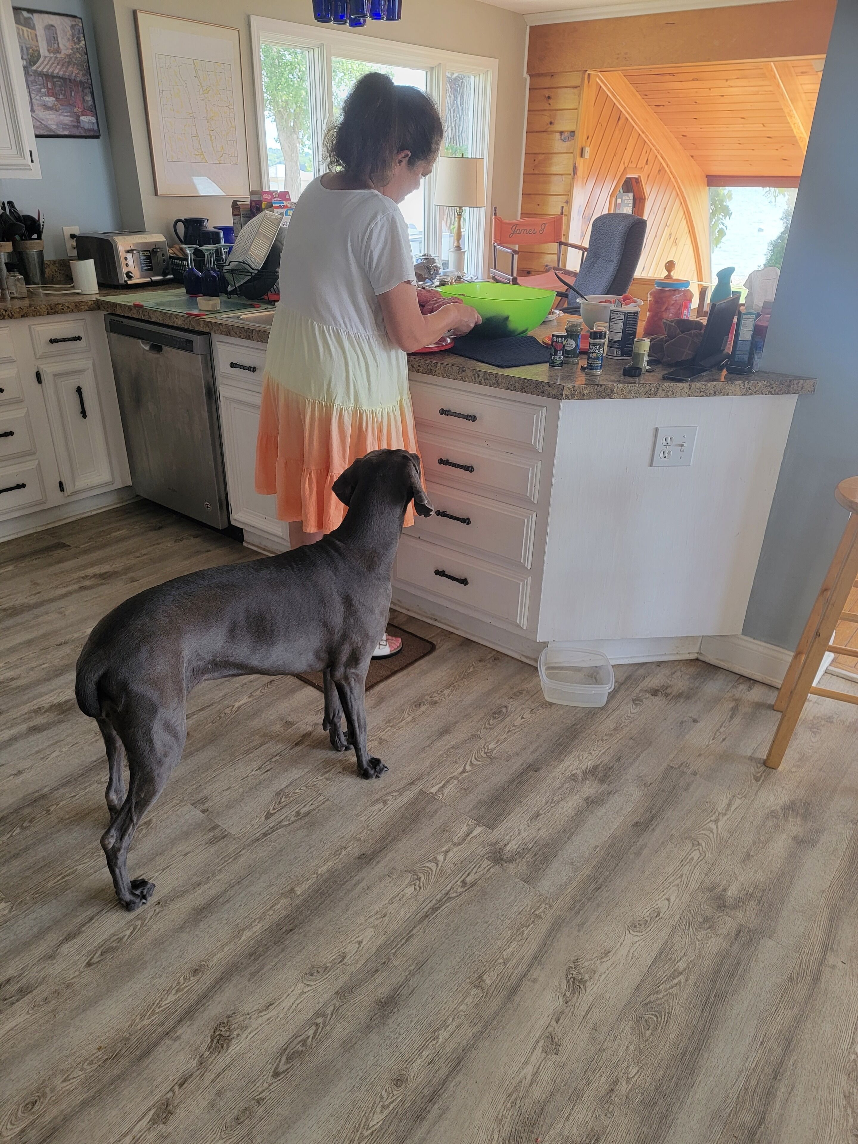 A kitchen with a wooden floor, a dog, and a person preparing food.