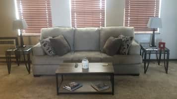 Smart TV, fireplace, books, printers