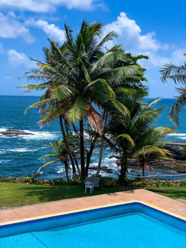 Una piscina con vistas al océano y palmeras.