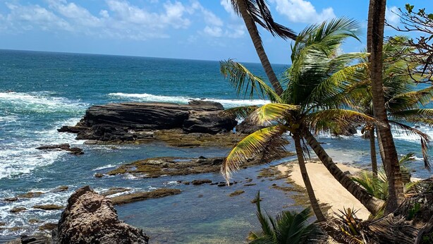Una costa rocosa con aguas azul cristalino, palmeras y una playa de arena.
