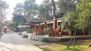 Un espacio al aire libre con mesas y sillas de madera, rodeado de follaje y árboles.