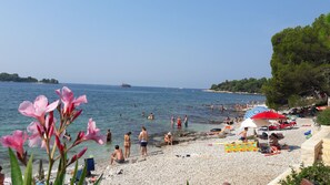 Beach nearby - Studio Samsa in Rovinj - Borik 250 m vom Strand (Rovinj)