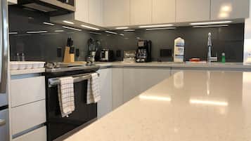 Full-sized fridge, microwave, oven, stovetop