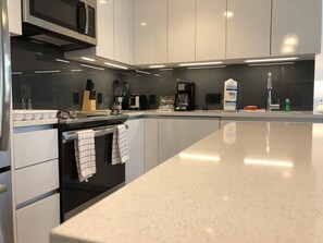 Full-sized fridge, microwave, oven, stovetop - West End Corporate Lux (Boston)