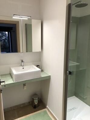 Shower, hair dryer, towels, toilet paper