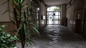 Un pasillo con una planta en maceta, piso de baldosas y una puerta al final.