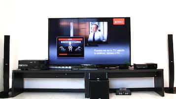 Television