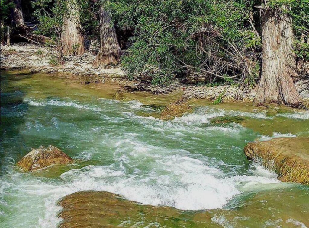 A river with clear water flowing over rocks, surrounded by trees.