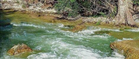 A river with clear water flowing over rocks, surrounded by trees.