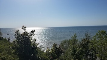 Blick auf ein Gewässer mit Bäumen im Vordergrund.