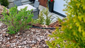Un bâtiment moderne doté d’une porte en bois, d’un escalier en pierre et d’un jardin agrémenté de plantes et d’une clôture.