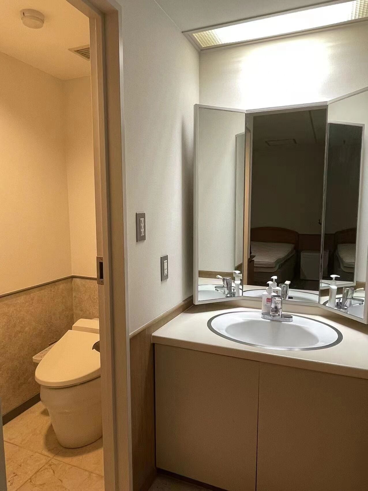 Un baño con inodoro, lavabo y espejo.