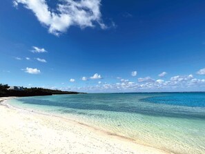 Beach nearby - The Pool & Sauna Villa MOTOBU (Motobu)
