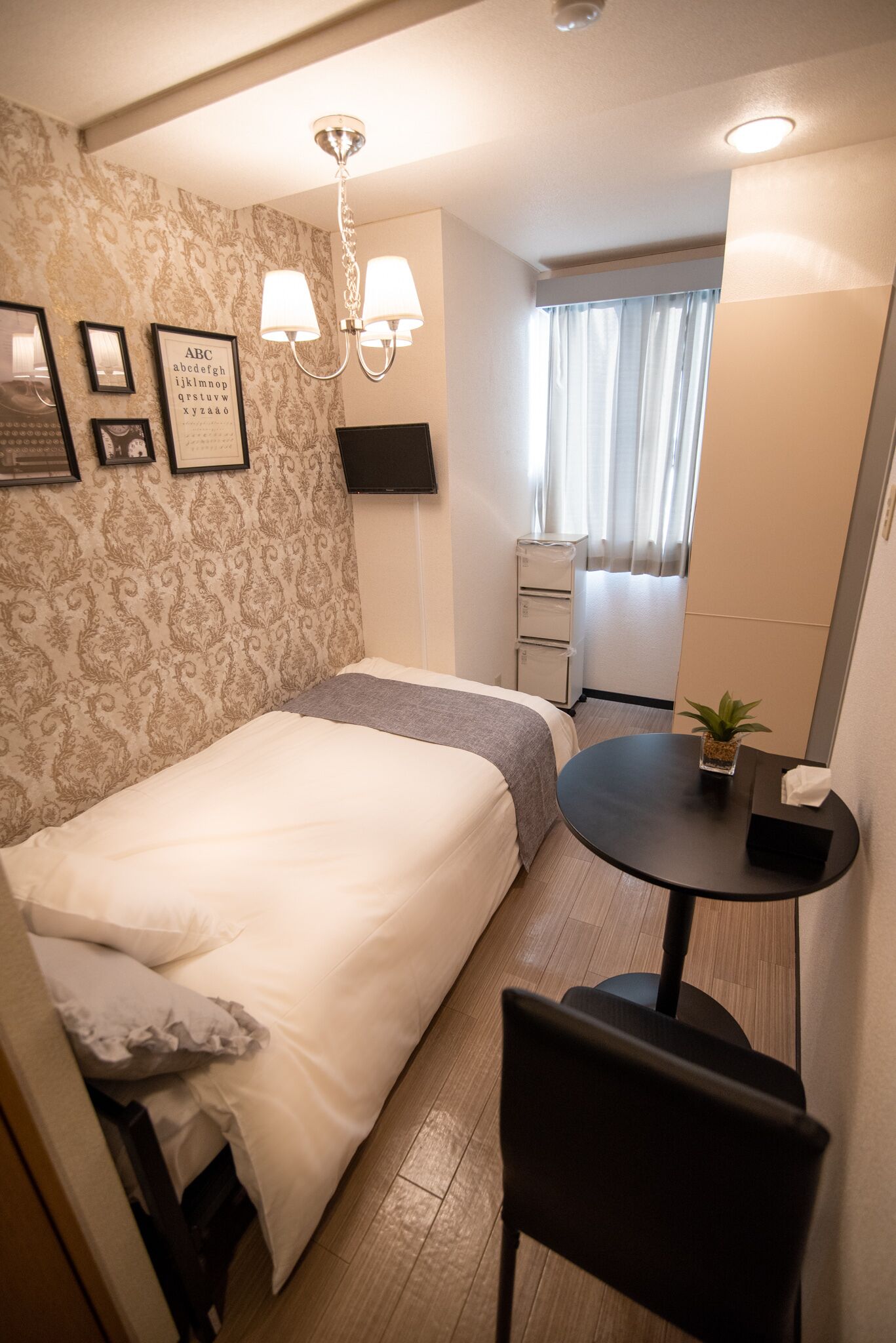 A hotel room with a bed, a small table with a plant, a TV, and a desk with a chair.