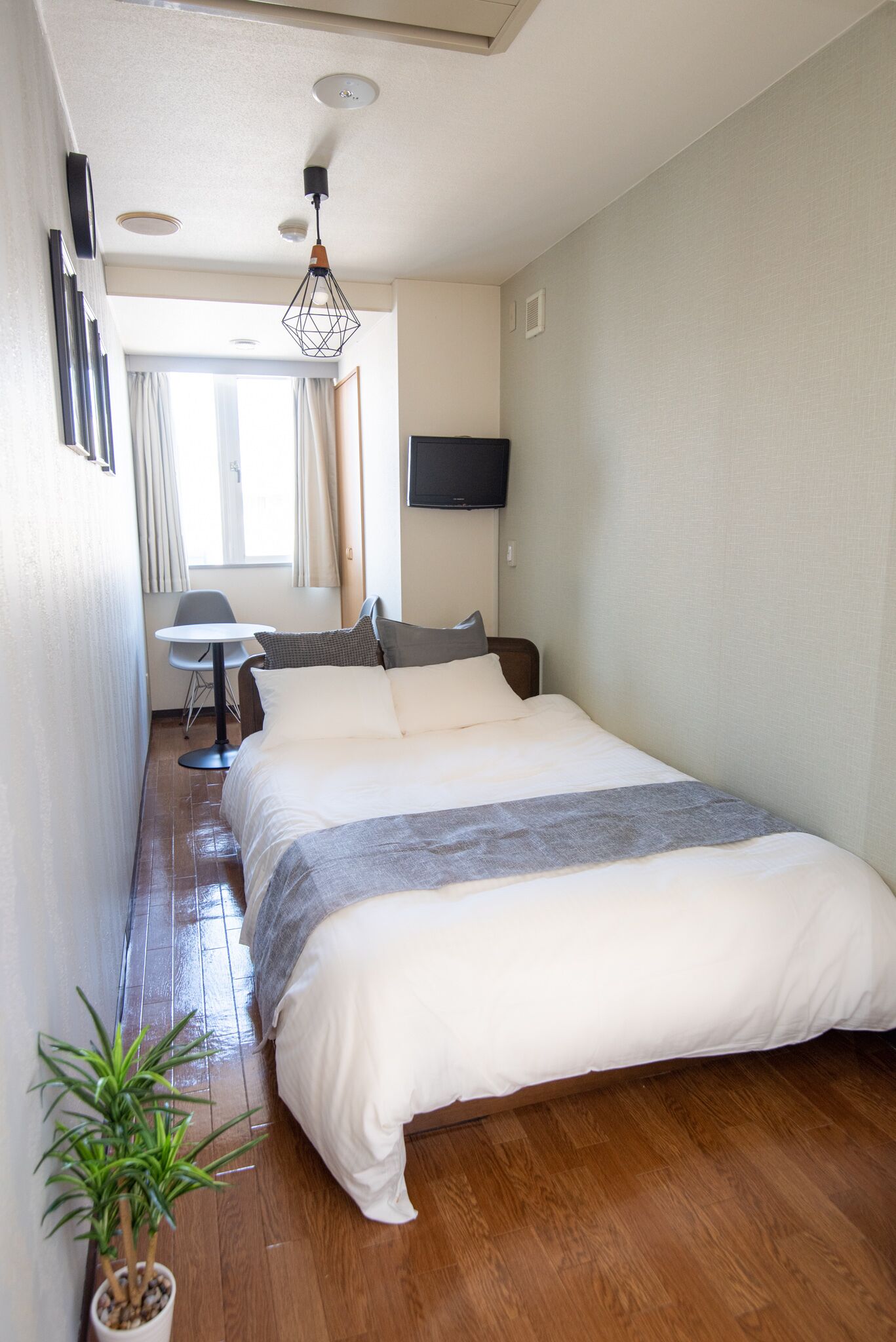 Une chambre avec un grand lit, une petite table, une chaise, une plante en pot et un téléviseur fixé au mur.