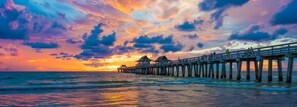 Beach nearby, sun loungers, beach towels - The Dunes! Walk to the beach! Unwind in this amazing Naples retreat! (Naples)